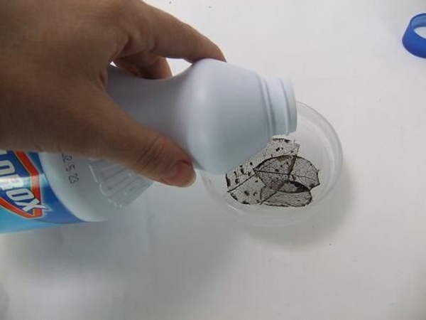 Pour bleach into a shallow dish Pour bleach into a shallow dish