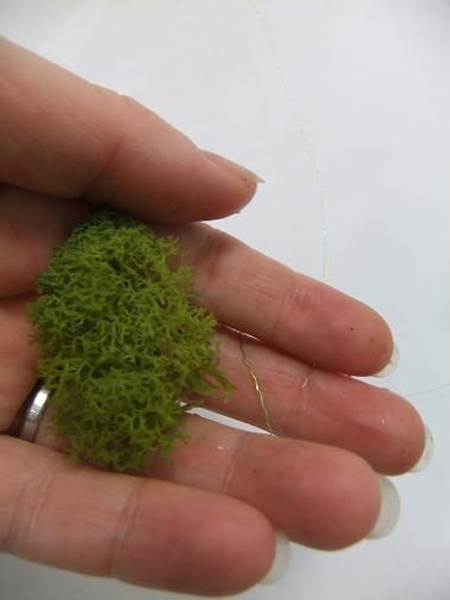 Pull apart the moss and cut a section of wire Pull apart the moss and cut a section of wire