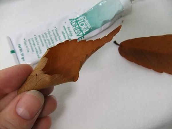 Roll the autumn leaves into cone shapes. Roll the autumn leaves into cone shapes.