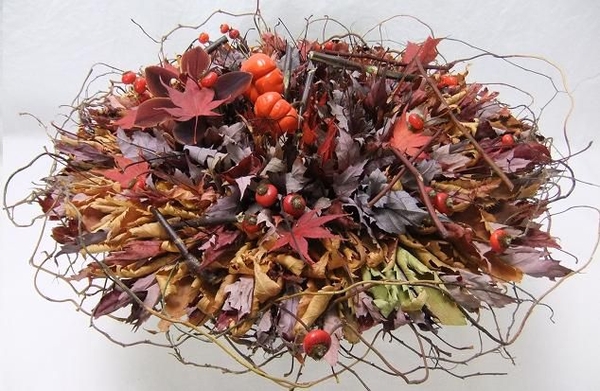 Rose hips, pumpkin tree plant, and a cymbidium orchid nestled in autumn leaves 