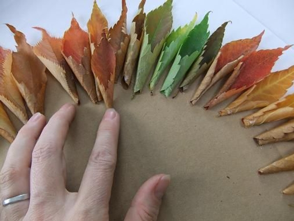 Start on a second row of leaves Start on a second row of leaves