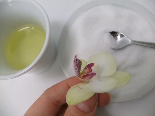 Sugar frost orchid. Sugar frost orchid.