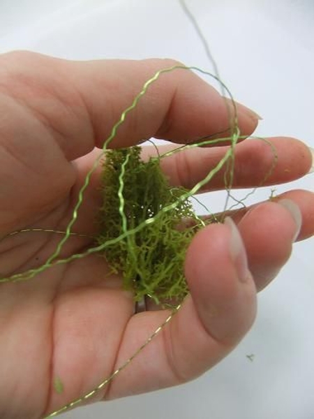 Wrap the wire loosely around the moss Wrap the wire loosely around the moss