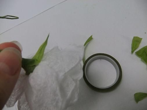 Add 5 sepals to the rose calyx Add 5 sepals to the rose calyx