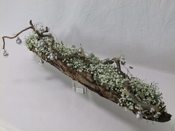 Bark filled with gyp. Bark filled with gyp.