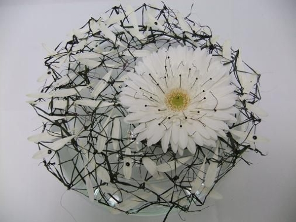 Gerbera Daisy rest on a cordilyne grid Gerbera Daisy rest on a cordilyne grid