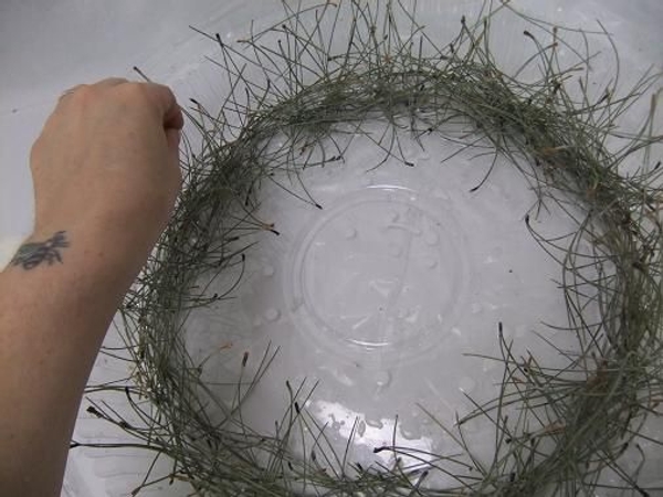 Glue in needles to stand on end Glue in needles to stand on end
