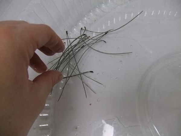 Lightly pile the needles in a circle Lightly pile the needles in a circle