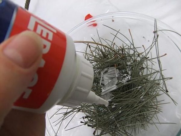 Pour wood glue over the pine needles Pour wood glue over the pine needles