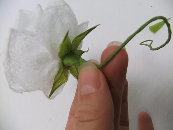 Tumble dryer sheet rose Tumble dryer sheet rose