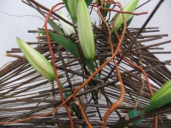 Break the straight twig lines with willow Break the straight twig lines with willow