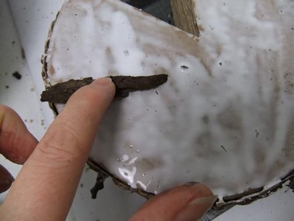 Cover the cardboard cake with glue and add the bark. Cover the cardboard cake with glue and add the bark.