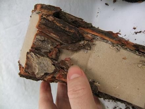 Cover the inside surface with bark Cover the inside surface with bark