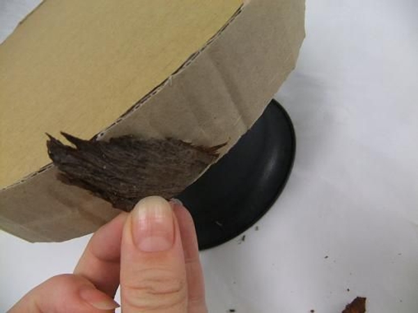 Glue chips of bark to the edge Glue chips of bark to the edge