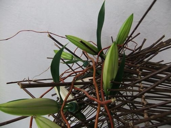 Lilies and twigs Lilies and twigs