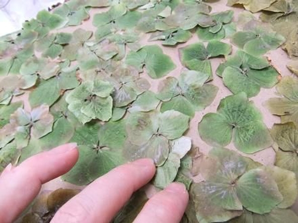 Paint the flowers with a layer of glue before adding more flowers. Paint the flowers with a layer of glue before adding more flowers.