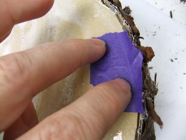 Rip up tissue paper and glue it to the surface Rip up tissue paper and glue it to the surface