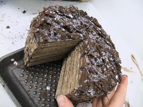 Set the cardboard cake aside to dry completely Set the cardboard cake aside to dry completely