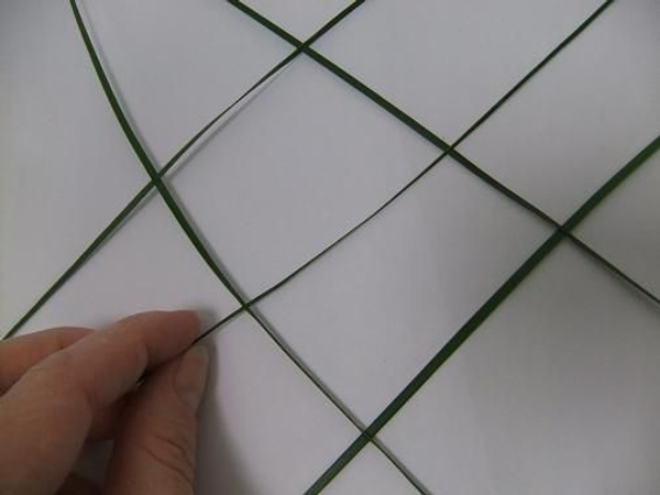Continue to add strands to build up the mesh pattern Continue to add strands to build up the mesh pattern