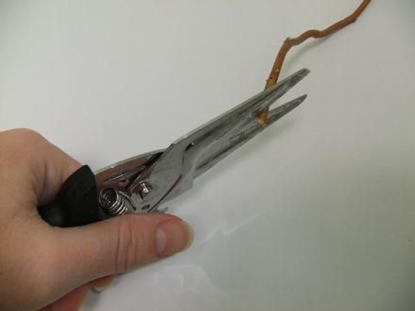Cut a small wedge Cut a small wedge