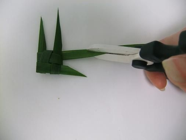 Cut the tail fin Cut the tail fin