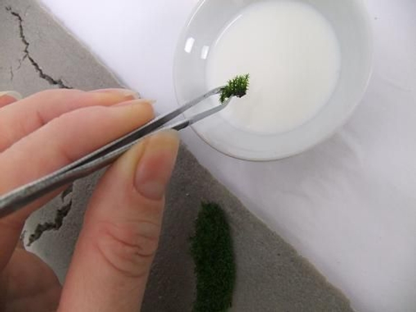 Dip the moss in the yogurt Dip the moss in the yogurt