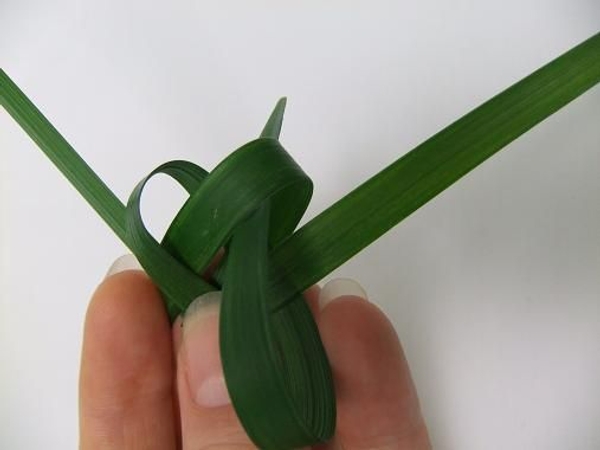 Fold the blade pointing down up and through the loop Fold the blade pointing down up and through the loop