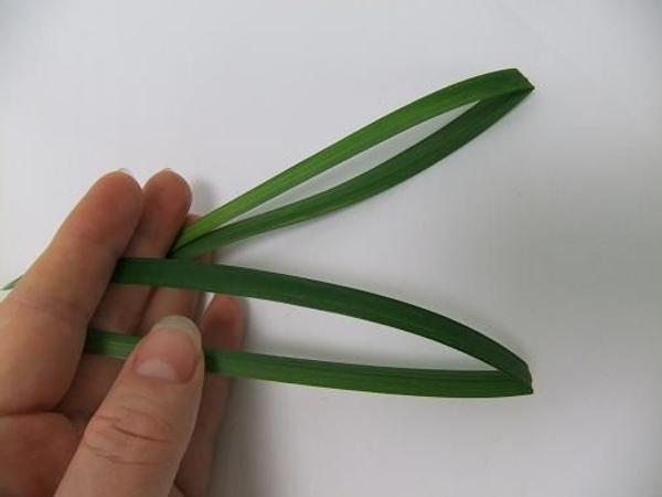 Fold two blades of grass in half Fold two blades of grass in half