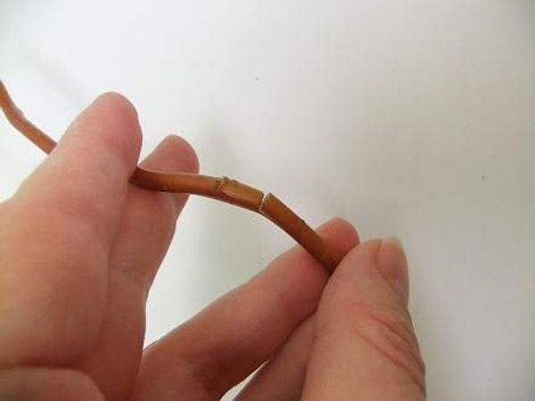Gently bend the twig open Gently bend the twig open