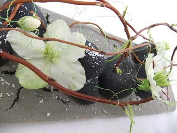 Hellebores and willow twigs. Hellebores and willow twigs.