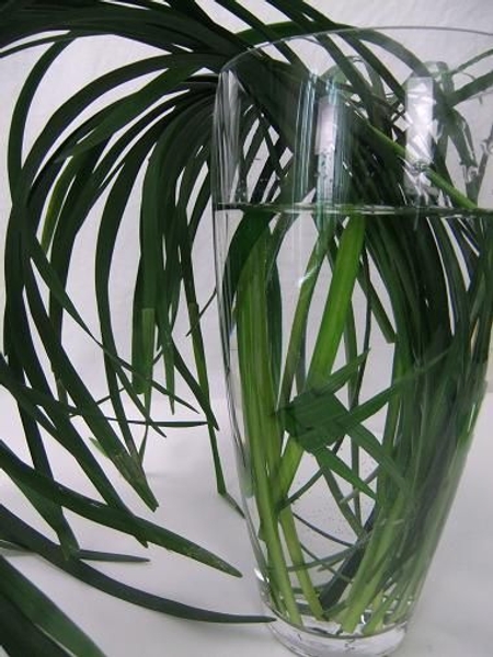 Swimmingly Floral art design. Swimmingly Floral art design.