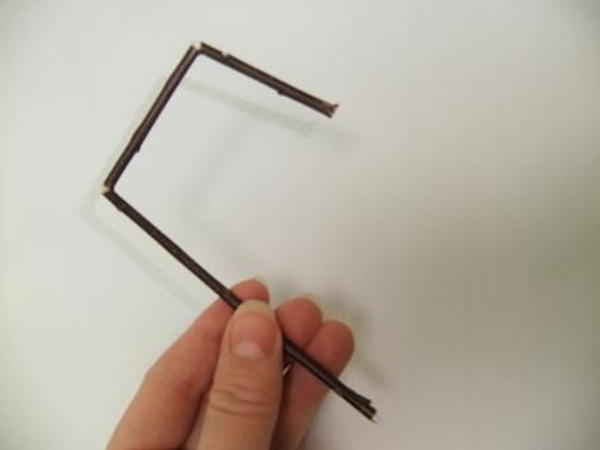 The lower bark should still be intact keeping the twig at an angle. The lower bark should still be intact keeping the twig at an angle.