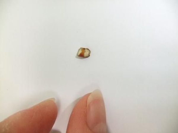 Tiny twig wedge. Tiny twig wedge.