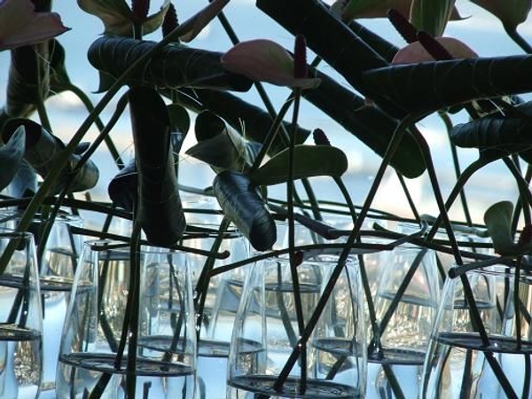 Anthuriums in water filled glasses