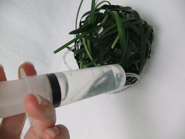 Fill the vase with water. Fill the vase with water.