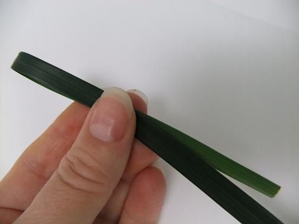 Loop the blade of grass. Loop the blade of grass.