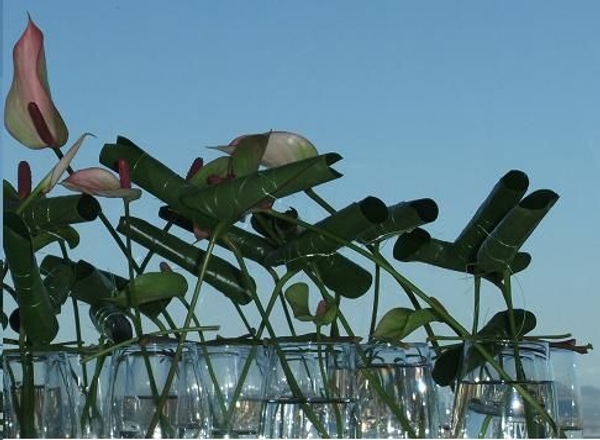 Stems in water. Stems in water.
