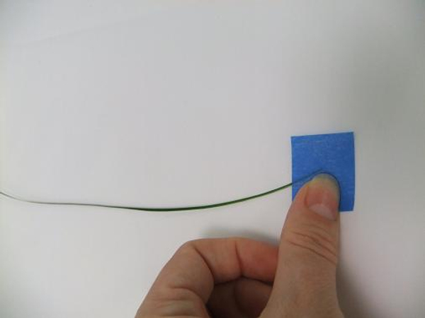 Tape a long blade of grass to a flat working surface