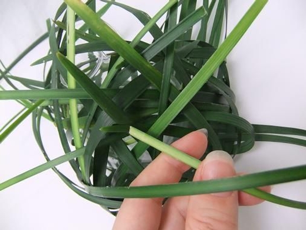 Use the thicker parts of the grass to guide it through the structure Use the thicker parts of the grass to guide it through the structure