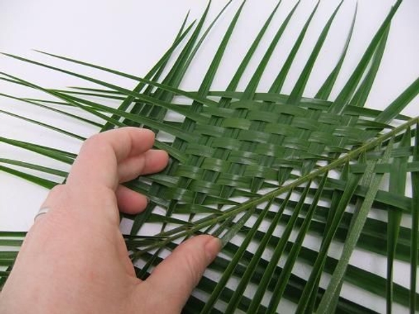 Continue weaving all the way down the palm leaf Continue weaving all the way down the palm leaf