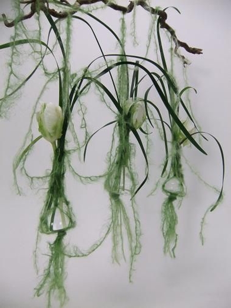 Hang tulips and curved grasses Hang tulips and curved grasses