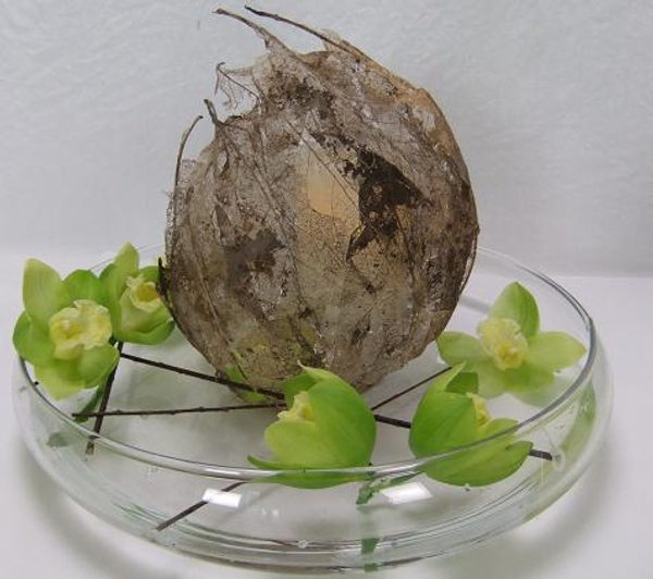 Hide and go peek floral art design Hide and go peek floral art design
