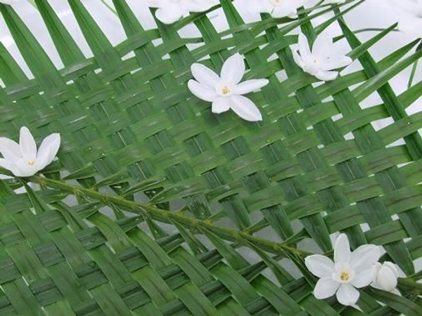 Weaving palm leaves.