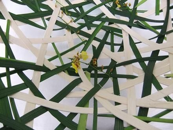 Woven structural design Woven structural design