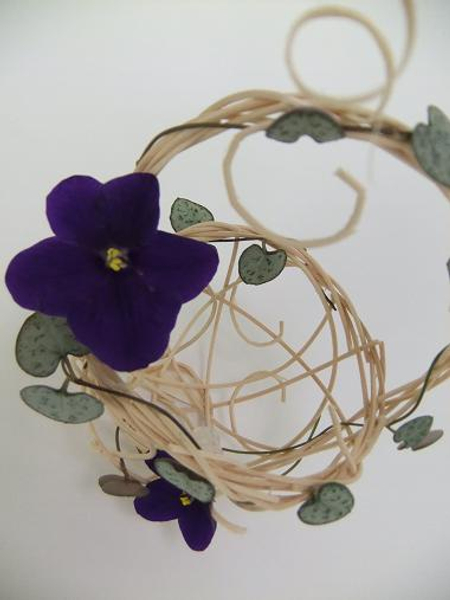 African Violets and Rosary vine on a rattan basket.