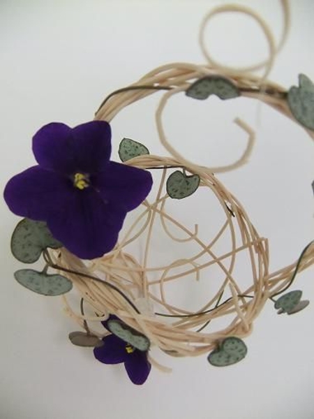 African Violets and Rosary vine on a rattan basket. African Violets and Rosary vine on a rattan basket.