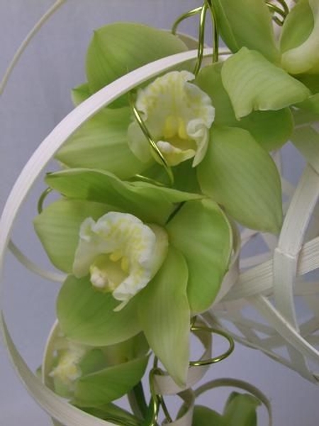 Beautiful green Cymbidium orchids Beautiful green Cymbidium orchids