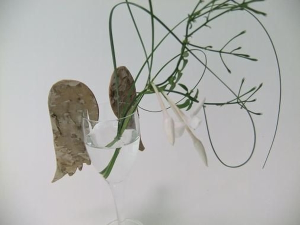 Birch bark wings Birch bark wings
