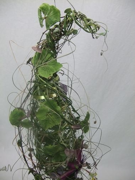 Bits of flat wire peeps out of the messy plant material nest Bits of flat wire peeps out of the messy plant material nest