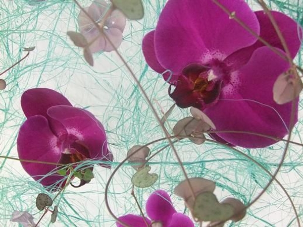 Sisal disk armature design Sisal disk armature design